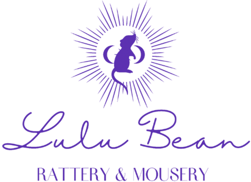 Lulu Bean Rattery